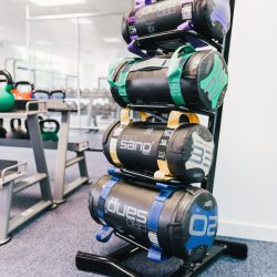 Pulse-337-1-scaled Pulse-337-1-scaled